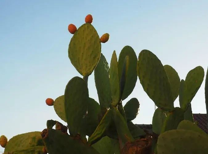 Ulisse Roccella Ionica